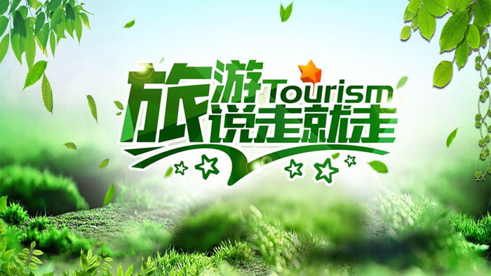 说走就走